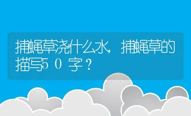 捕蝇草浇什么水,捕蝇草的描写50字？ | 养殖科普