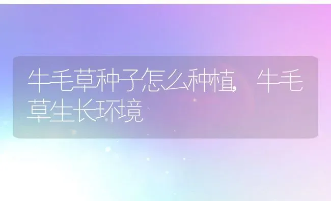 牛毛草种子怎么种植,牛毛草生长环境 | 养殖学堂