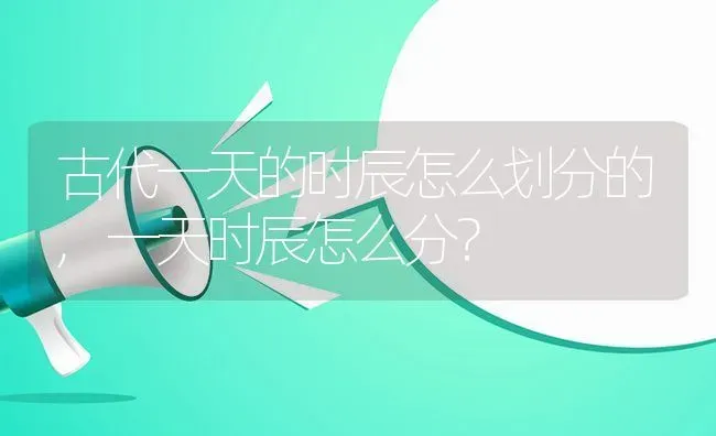 古代一天的时辰怎么划分的,一天时辰怎么分？ | 养殖科普