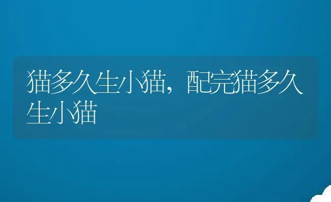 猫多久生小猫,配完猫多久生小猫 | 养殖科普