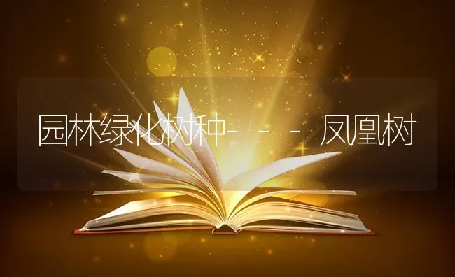 园林绿化树种---凤凰树 | 养殖技术大全