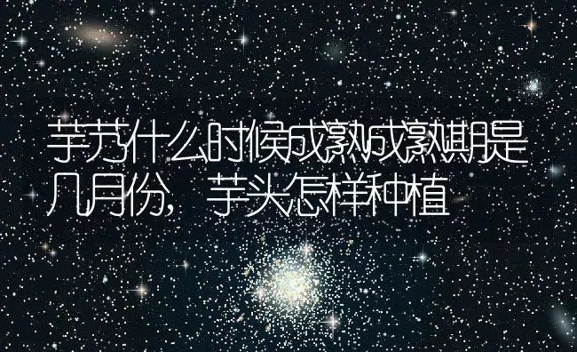 芋艿什么时候成熟成熟期是几月份,芋头怎样种植 | 养殖学堂