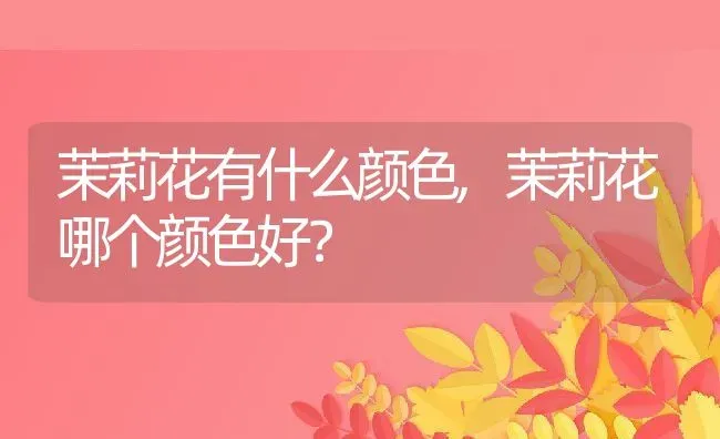 茉莉花有什么颜色,茉莉花哪个颜色好？ | 养殖科普