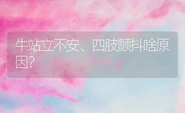 牛站立不安、四肢颤抖啥原因? | 养殖技术大全