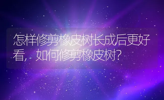 怎样修剪橡皮树长成后更好看,如何修剪橡皮树？ | 养殖科普