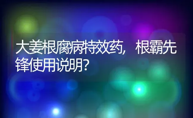 大姜根腐病特效药,根霸先锋使用说明？ | 养殖科普