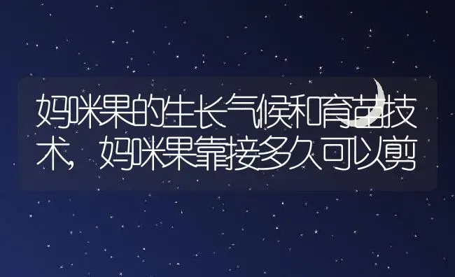 妈咪果的生长气候和育苗技术,妈咪果靠接多久可以剪 | 养殖学堂