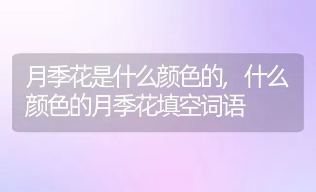 月季花是什么颜色的,什么颜色的月季花填空词语 | 养殖学堂
