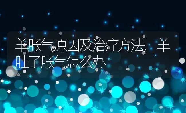 羊胀气原因及治疗方法,羊肚子胀气怎么办 | 养殖学堂