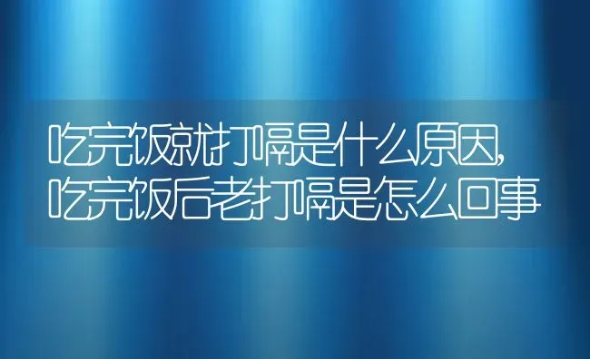 吃完饭就打嗝是什么原因,吃完饭后老打嗝是怎么回事 | 养殖科普