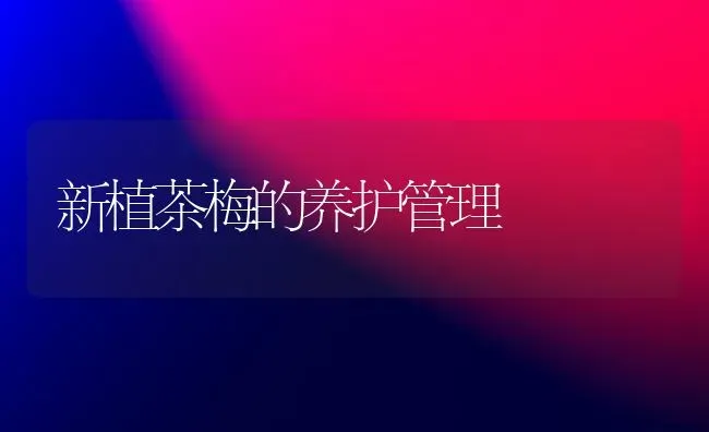 新植茶梅的养护管理 | 养殖技术大全