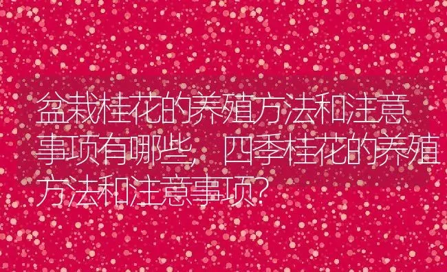 盆栽桂花的养殖方法和注意事项有哪些,四季桂花的养殖方法和注意事项？ | 养殖科普