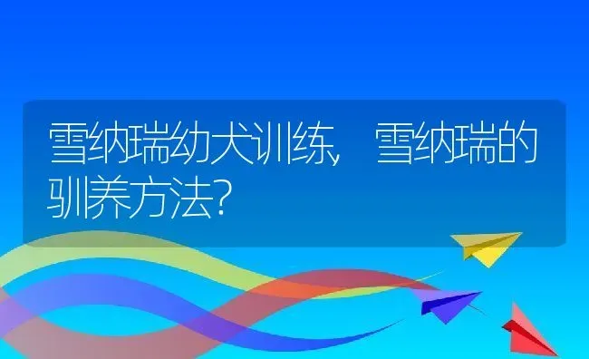 雪纳瑞幼犬训练,雪纳瑞的驯养方法？ | 养殖学堂