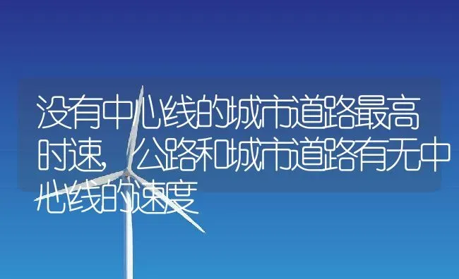 没有中心线的城市道路最高时速,公路和城市道路有无中心线的速度 | 养殖学堂