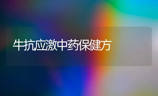 牛抗应激中药保健方 | 养殖技术大全