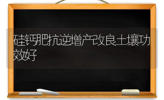 硅钙肥抗逆增产改良土壤功效好 | 养殖知识