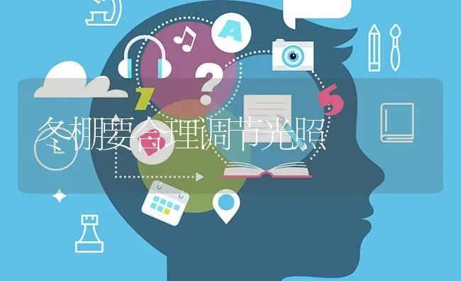 冬棚要合理调节光照 | 养殖技术大全