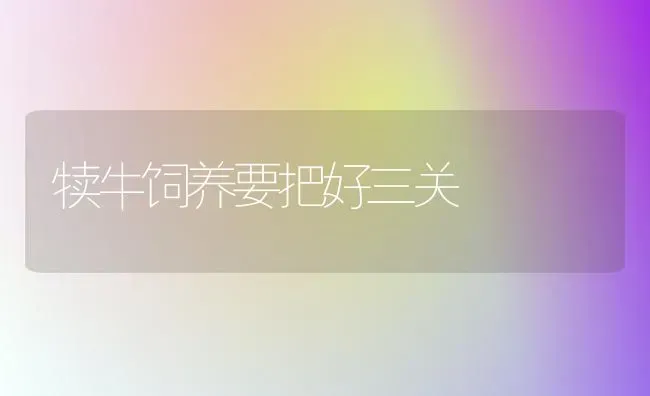 犊牛饲养要把好三关 | 养殖知识