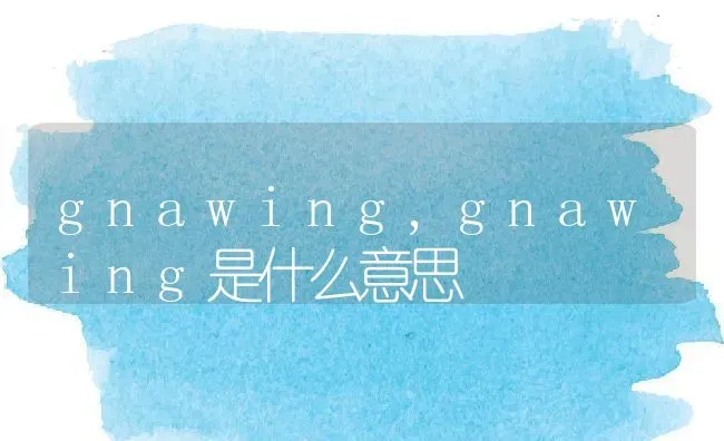 gnawing,gnawing是什么意思 | 养殖科普