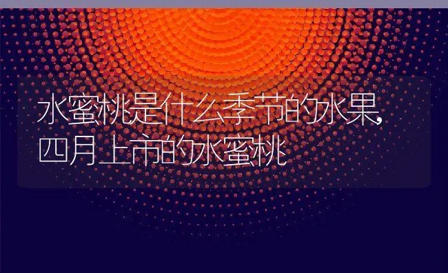 水蜜桃是什么季节的水果,四月上市的水蜜桃 | 养殖学堂