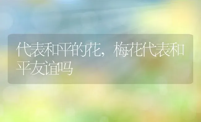 代表和平的花,梅花代表和平友谊吗 | 养殖学堂