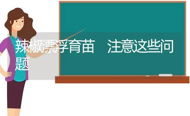 辣椒漂浮育苗 注意这些问题 | 养殖技术大全