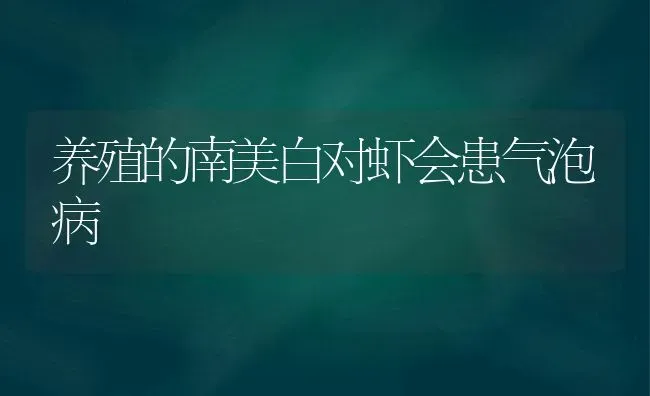 养殖的南美白对虾会患气泡病 | 养殖技术大全