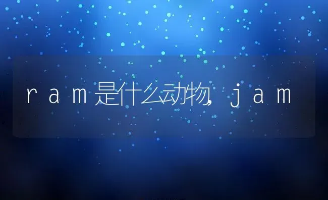 ram是什么动物,jam | 养殖科普