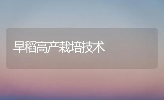 早稻高产栽培技术 | 养殖知识