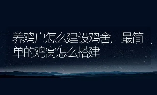 养鸡户怎么建设鸡舍,最简单的鸡窝怎么搭建 | 养殖学堂