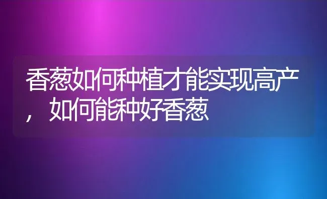 香葱如何种植才能实现高产,如何能种好香葱 | 养殖学堂