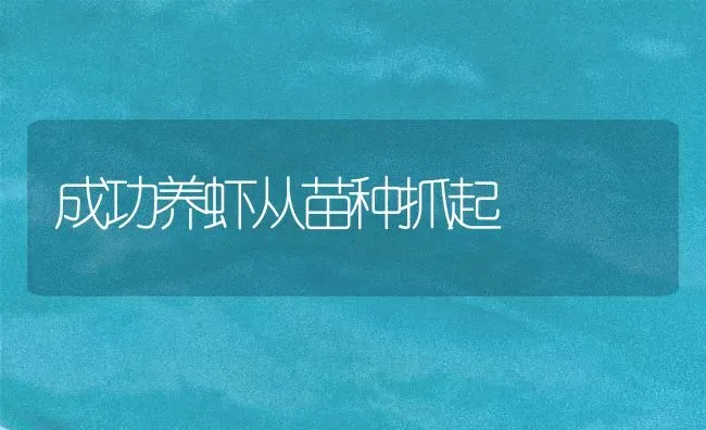 成功养虾从苗种抓起 | 养殖技术大全