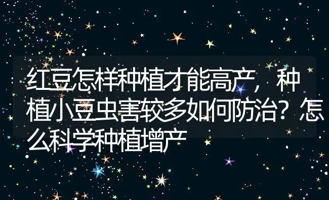 红豆怎样种植才能高产,种植小豆虫害较多如何防治？怎么科学种植增产 | 养殖学堂