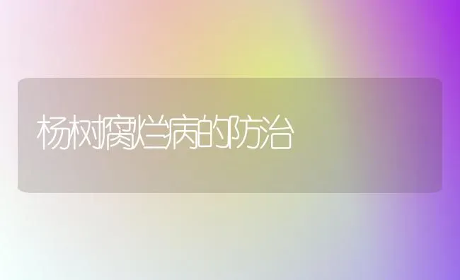 杨树腐烂病的防治 | 养殖技术大全