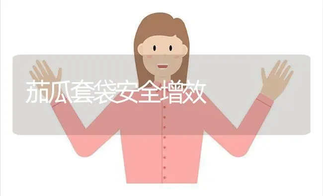 茄瓜套袋安全增效 | 养殖知识