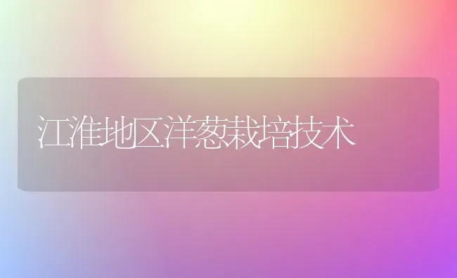江淮地区洋葱栽培技术 | 养殖技术大全
