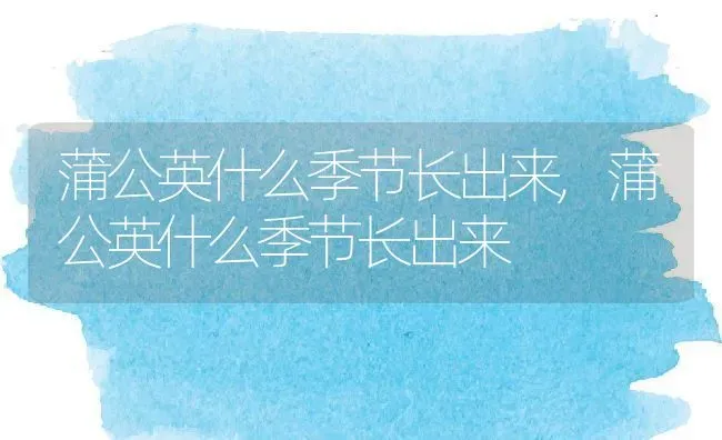 蒲公英什么季节长出来,蒲公英什么季节长出来 | 养殖科普