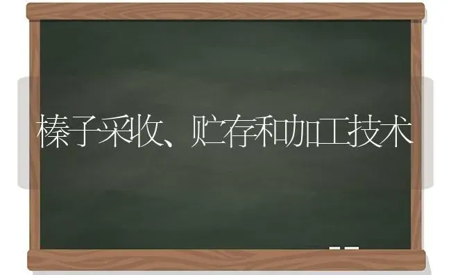 榛子采收、贮存和加工技术 | 养殖知识