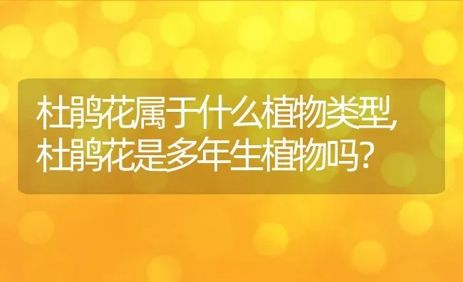 杜鹃花属于什么植物类型,杜鹃花是多年生植物吗？ | 养殖科普