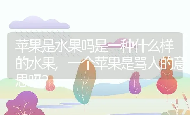 苹果是水果吗是一种什么样的水果,一个苹果是骂人的意思吗？ | 养殖科普