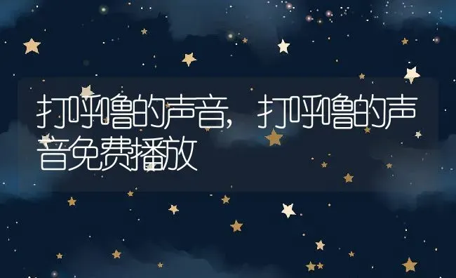 打呼噜的声音,打呼噜的声音免费播放 | 养殖科普