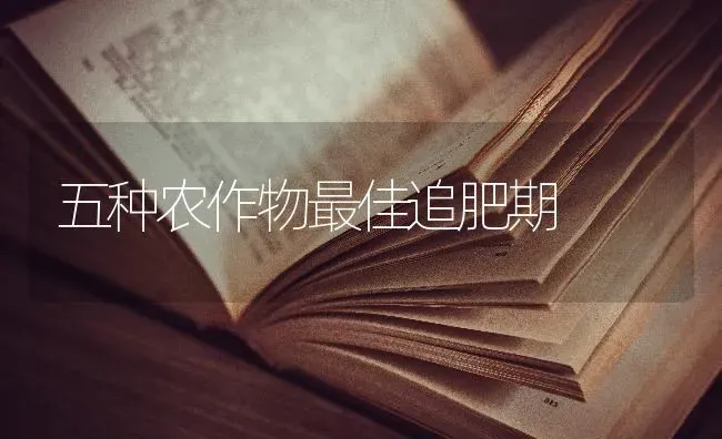 五种农作物最佳追肥期 | 养殖知识