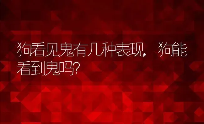 狗看见鬼有几种表现,狗能看到鬼吗？ | 养殖学堂