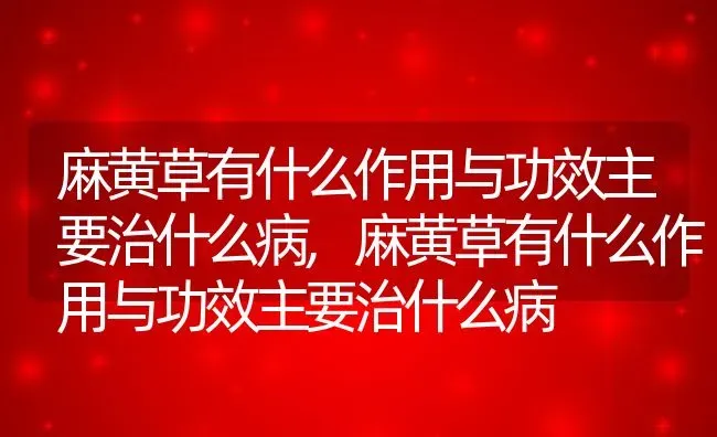 麻黄草有什么作用与功效主要治什么病,麻黄草有什么作用与功效主要治什么病 | 养殖科普