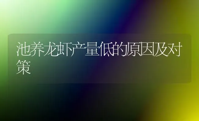 池养龙虾产量低的原因及对策 | 养殖知识