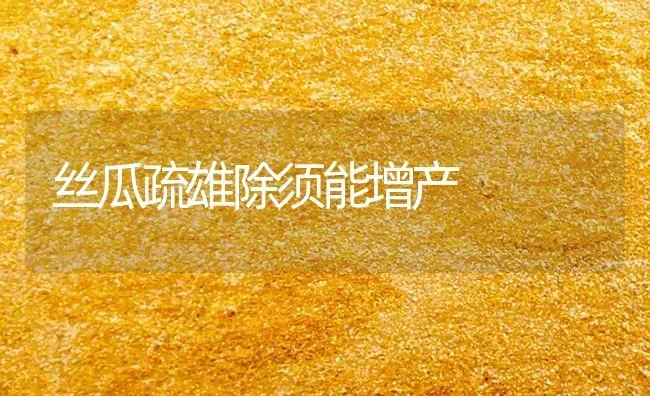 丝瓜疏雄除须能增产 | 养殖技术大全