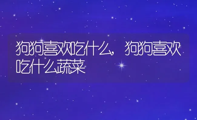 狗狗喜欢吃什么,狗狗喜欢吃什么蔬菜 | 养殖资料