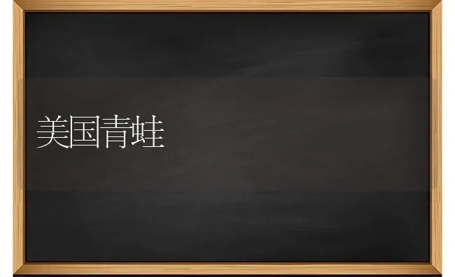 美国青蛙 | 养殖技术大全