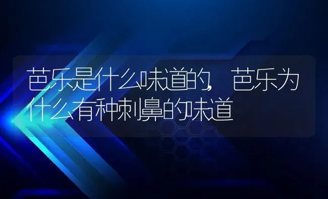 芭乐是什么味道的,芭乐为什么有种刺鼻的味道 | 养殖学堂