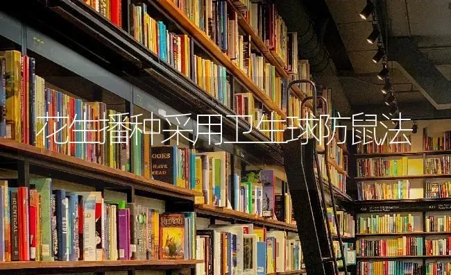 花生播种采用卫生球防鼠法 | 养殖技术大全